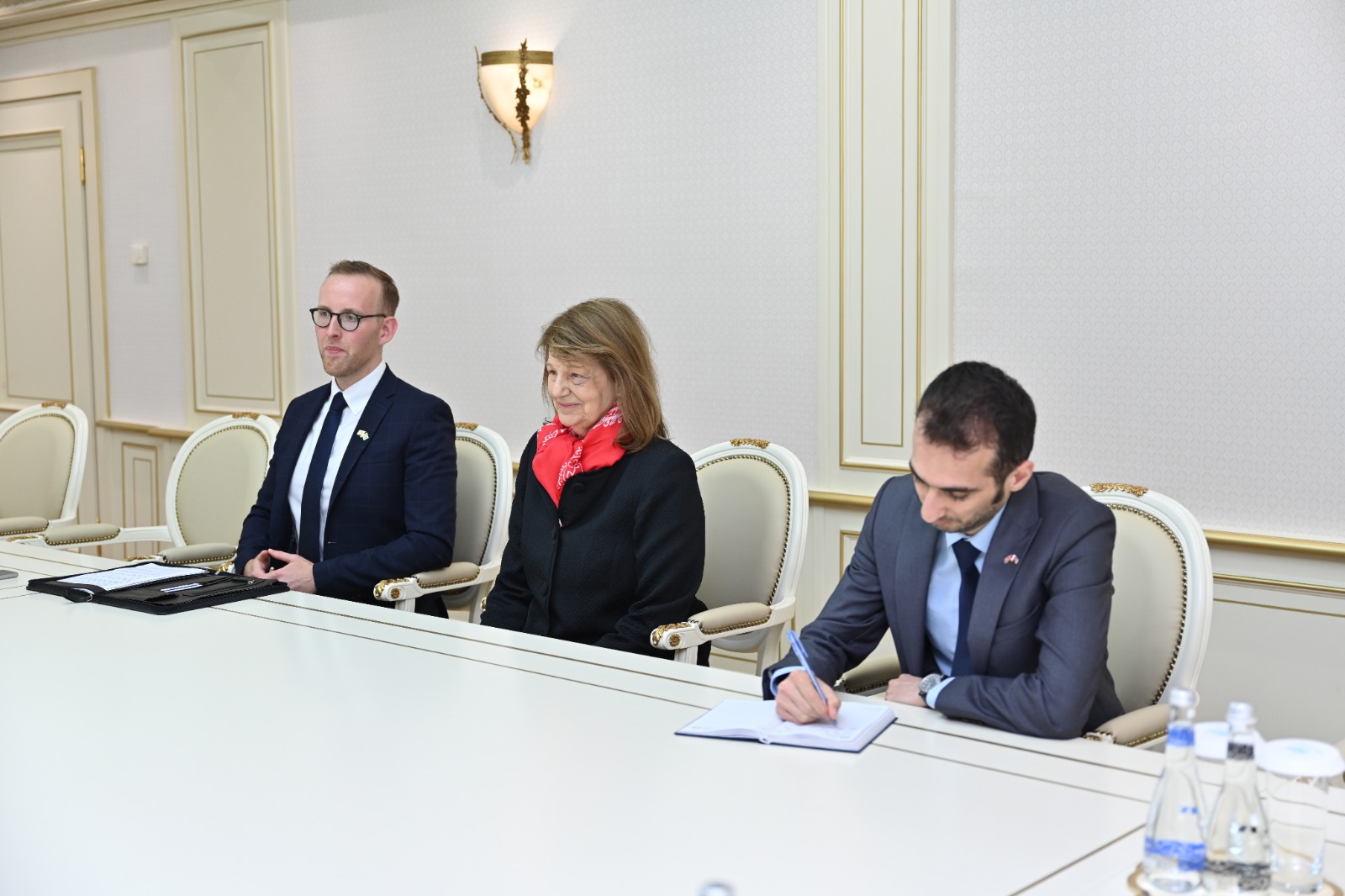 Глава Милли Меджлиса встретилась с торговым представителем британского премьер-министра по Азербайджану